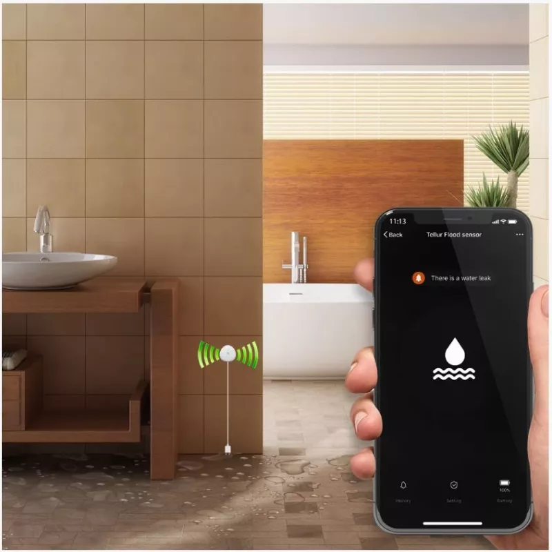 Flood sensor Tellur WiFi AAA White – wireless water leak detector, battery-powered (AAA)