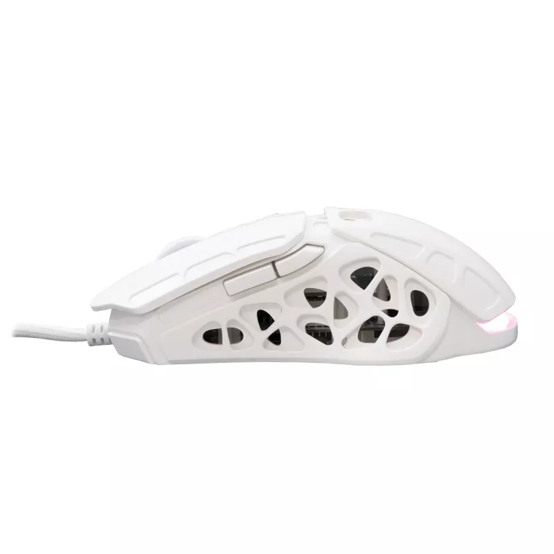 Mouse White Shark GM-5016 Ector White USB