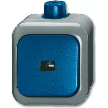 BUSCH JAEGER 2621 WDI - 1P - Green - Grey - 250 V - 74 mm - 54 mm - 80 mm
