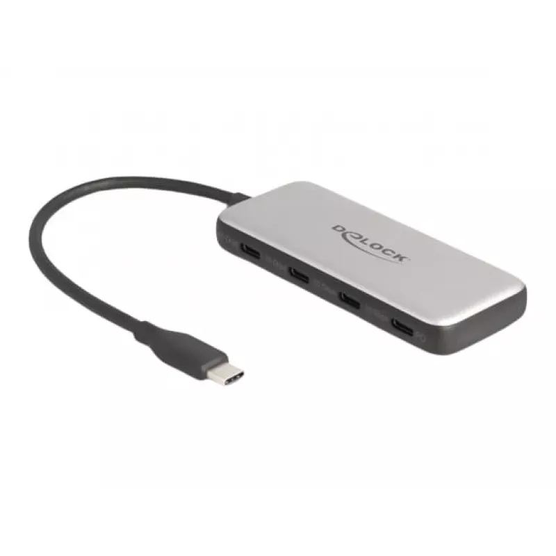 DeLOCK 64261 USB 3.2 Gen 1 Type-C Hub 10000 Mbit/s Black Grey