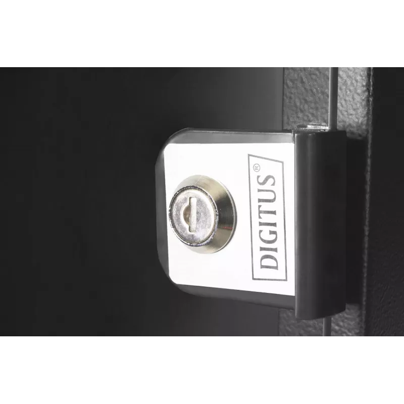 Wall mounted rack Digitus DN-49105 12U 60 kg IP20