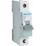 Hager MCS125. Rated Current: 25 A. Type: C-type, Module Quantity (max): 1 Module(e). Width: 17,5 mm, Depth: 70 mm, Height: 83,4 mm (MCS125)