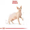 Royal Canin Sphynx Adult Dry Cat Food, 2 kg