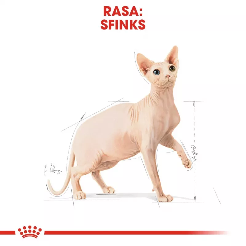 Royal Canin Sphynx Adult Dry Cat Food, 2 kg