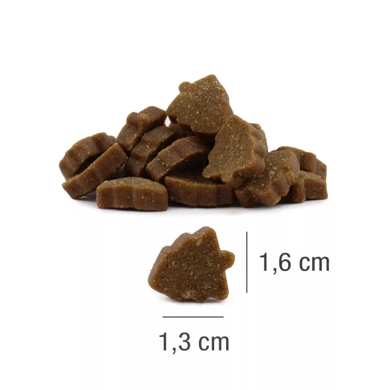 PLATINUM Xmas-Bits Iberico - dog treat - 150g