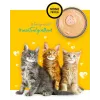 3COTY Chicken For kittens - wet cat food - 80g