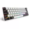 Sharkoon SGK50 S4 keyboard Home USB QWERTZ German White RGB LED 60%