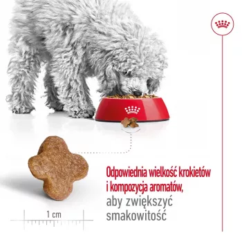 Dry dog food Royal Canin Mini Adult 8+ 2 kg — small breeds 5–10 kg, poultry, weight-control formula