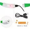 LED collar Anicoll Green for dogs and cats Model rechargeable lighting