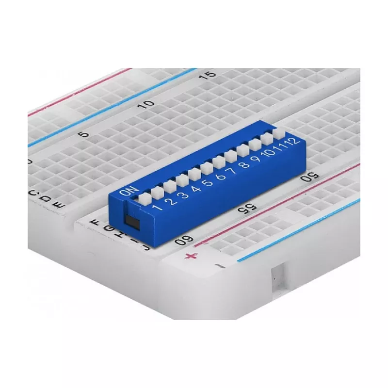 DIP switch for PCB DELOCK 66388, blue plastic, 10 pcs, 31.9×9.9×5.5 mm
