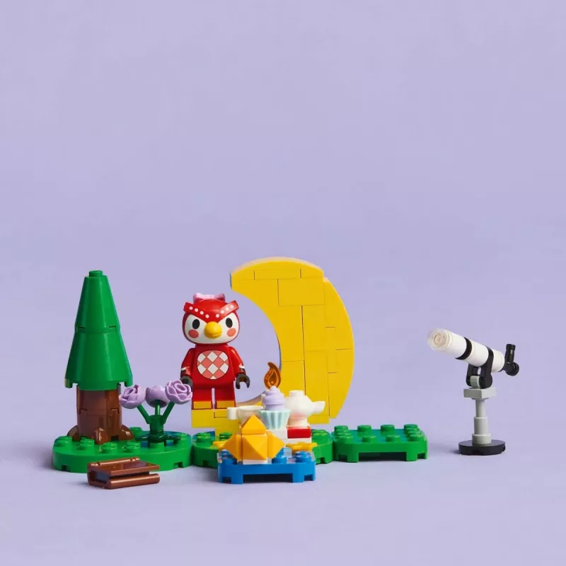 Construction toy LEGO Animal Crossing Stargazing with Eufemia set 77053