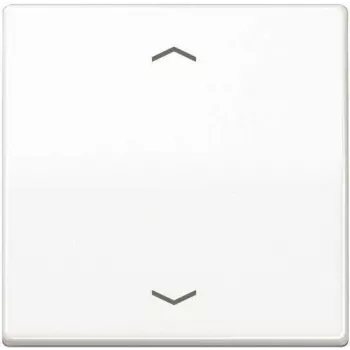 JUNG AS 1700 P WW control button Standard arrow symbols AS1700PWW