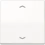 JUNG AS 1700 P WW control button Standard arrow symbols AS1700PWW