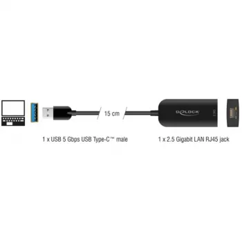 DeLOCK 66045 Cable Gender Changer USB 5 Gbps Type-A 2.5 Gigabit LAN RJ45 Black