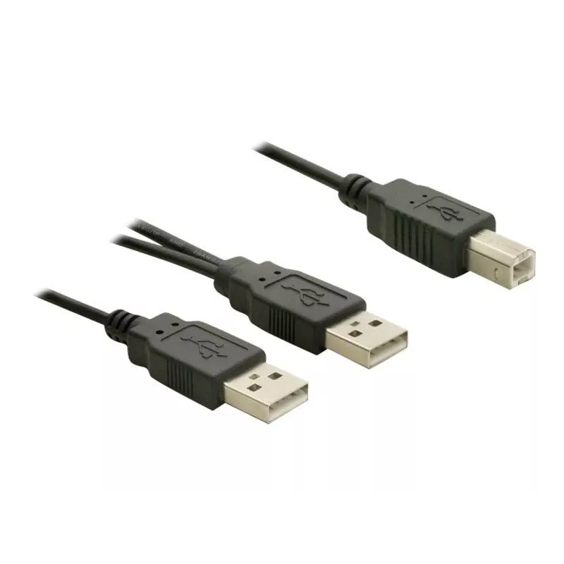 USB Cable DeLOCK USB-B/USB-A Cable 1 m Black