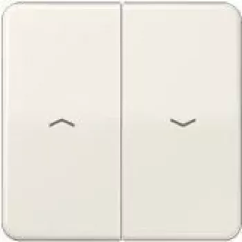 Jung CD595PPT Networking Device