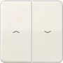 Jung CD595PPT Networking Device