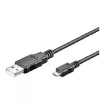 Wentronic 94181 USB Cable Black