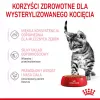 Wet cat food Royal Canin Sterilised Gravy, 12 x 85 g pouches — chicken, for spayed/neutered kittens, 11% protein, 80.5% moisture
