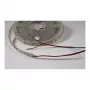 Synergy 21 LED Flex Strip 5050 - 60 WW DC12V 72W IP20