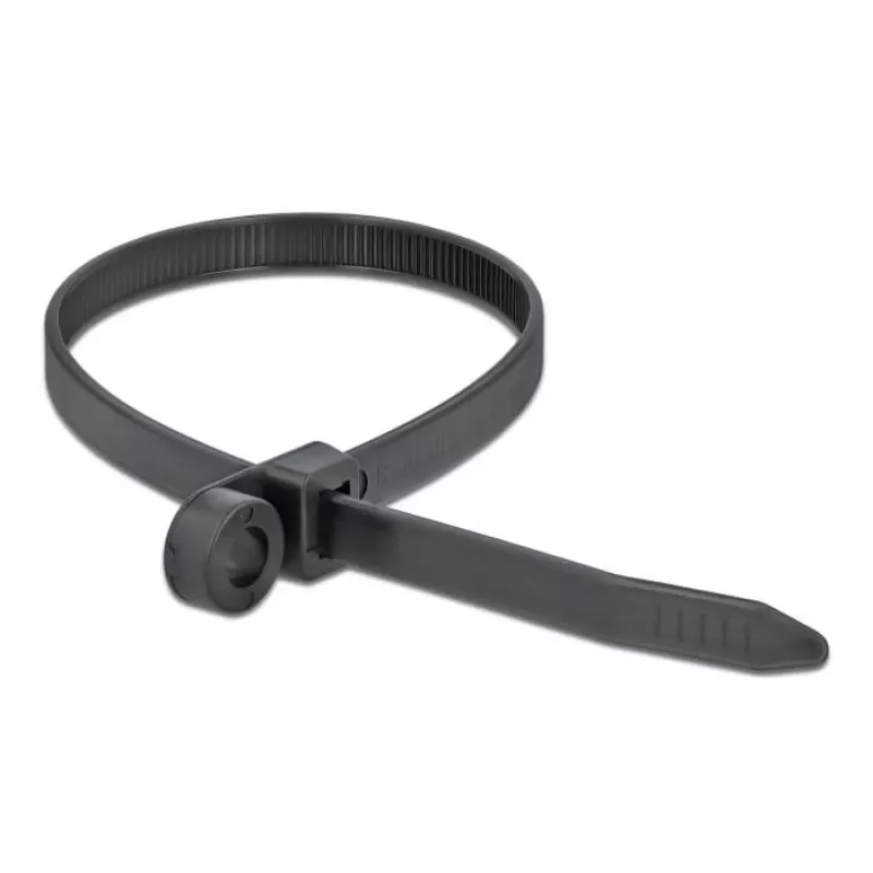 Parallel entry cable tie DeLOCK 18953