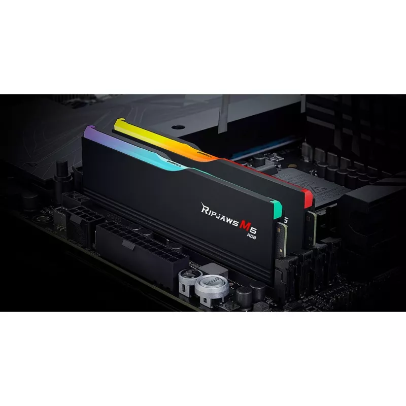G.skill F5-6400J3239G16GX2-RM5RK Memory Module