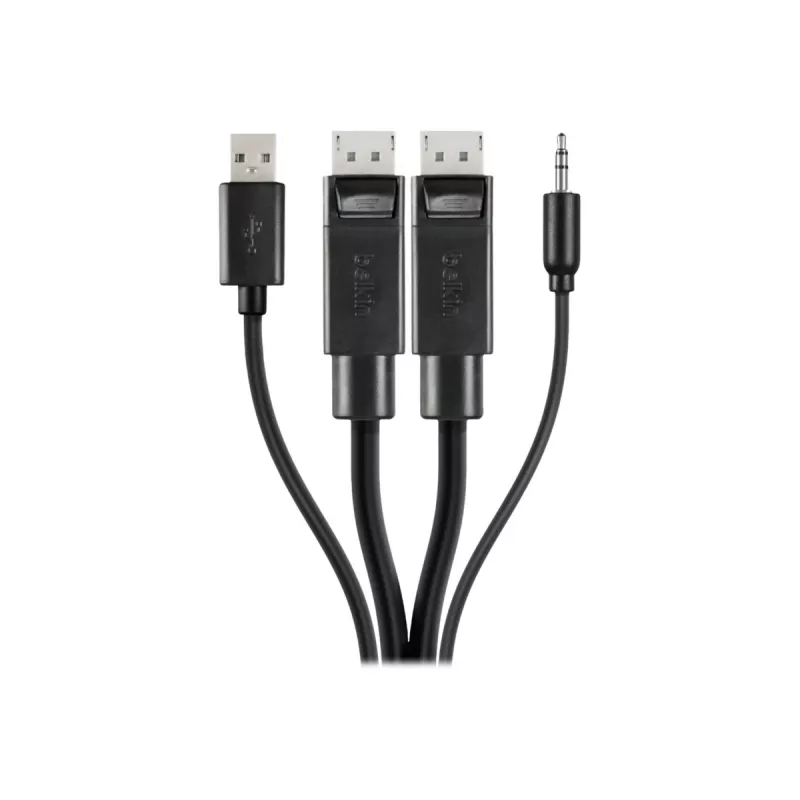 Belkin Secure KVM Combo Cable - Tastatur- / Video- / Maus- / Audio-Kabel - USB, Mini-Stecker, DisplayPort (M) bis Stereo Mini-Klinkenstecker, USB Typ 