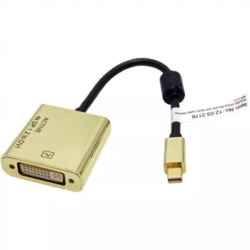 Video cable adapter ROLINE 12.03.3176 Mini DisplayPort to DVI-D 0.1 m
