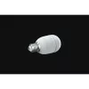 Razer Aether Smart-Gluehbirne E27 - RGB-LED-Gluehbirne for Smart Homes (RZ43-04250200-R3GC)
