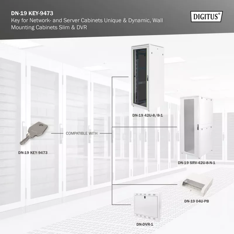 Key for Network and Server Cabinets Digitus DN-19 KEY-9473