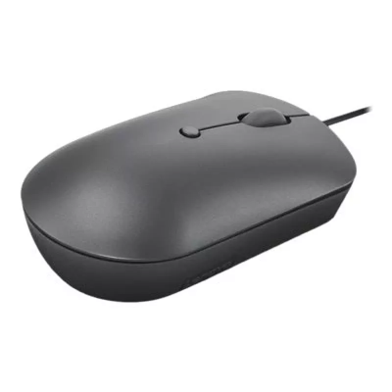 Lenovo 540 mouse Office Ambidextrous USB Type-C Optical