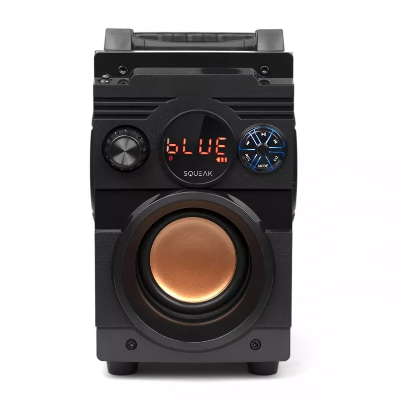 Squeak Bassblaster Bluetooth 5.1 Speaker, Fm Radio, Mp3 Player Sq1001