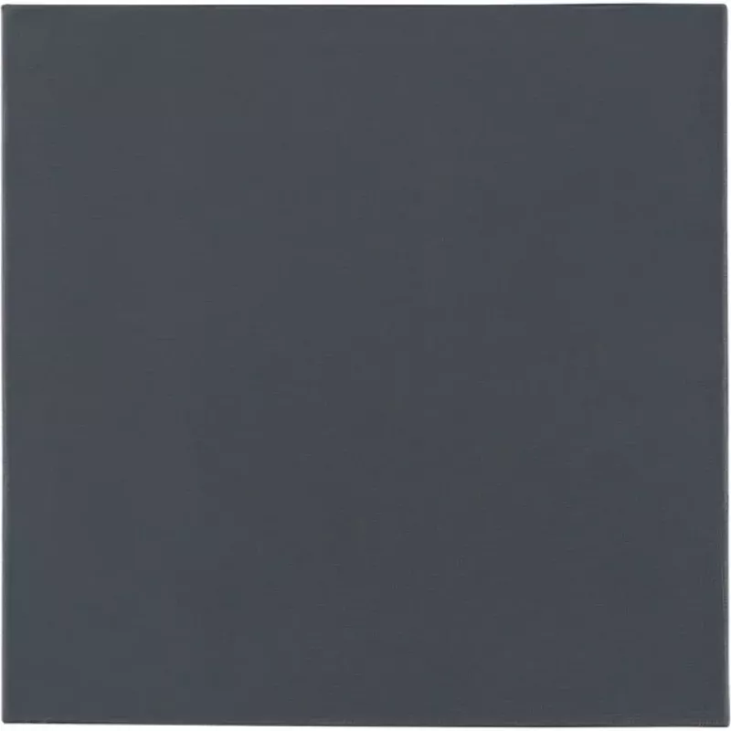 Thermal Grizzly Minus Pad Pro - 100 x 100 x 1.0 mm
