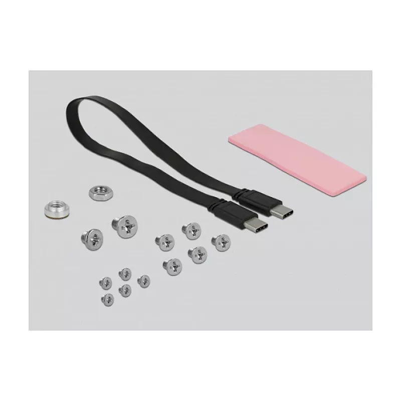 SSD enclosure DeLOCK 42609 Black M.2
