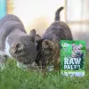 Wet cat food VETEXPERT RAW PALEO Adult Sterilised Game 100 g — venison, grain‑free, for overweight tendency