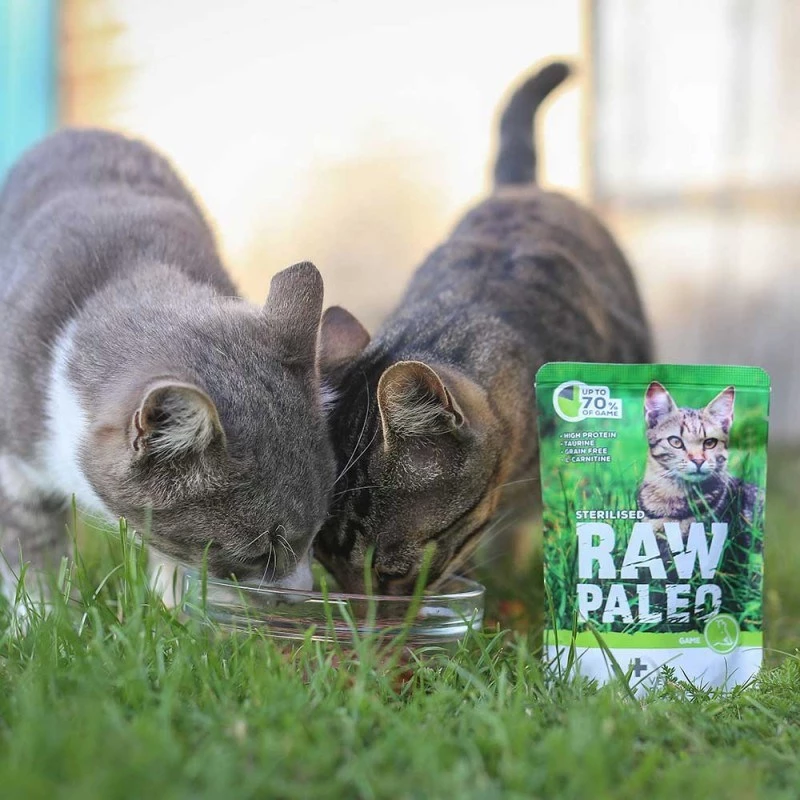 Wet cat food VETEXPERT RAW PALEO Adult Sterilised Game 100 g — venison, grain‑free, for overweight tendency