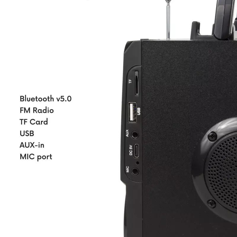Bluetooth Speaker Audiocore AC730, Black