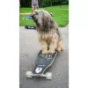 Longboard Muuwmi Lights GLOW ABEC 7 with light-up wheels, black/green