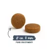 BOSCH Sanabelle Adult Trout & Blueberries - dry cat food - 2kg