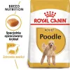 Dry Dog Food Royal Canin Poodle Adult 1.5 kg — Chicken, 30% Protein, 19% Fat
