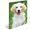 Folder Polypropylene (PP) HERMA 7144 A3 Multicolour