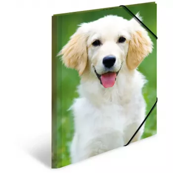 Folder Polypropylene (PP) HERMA 7144 A3 Multicolour