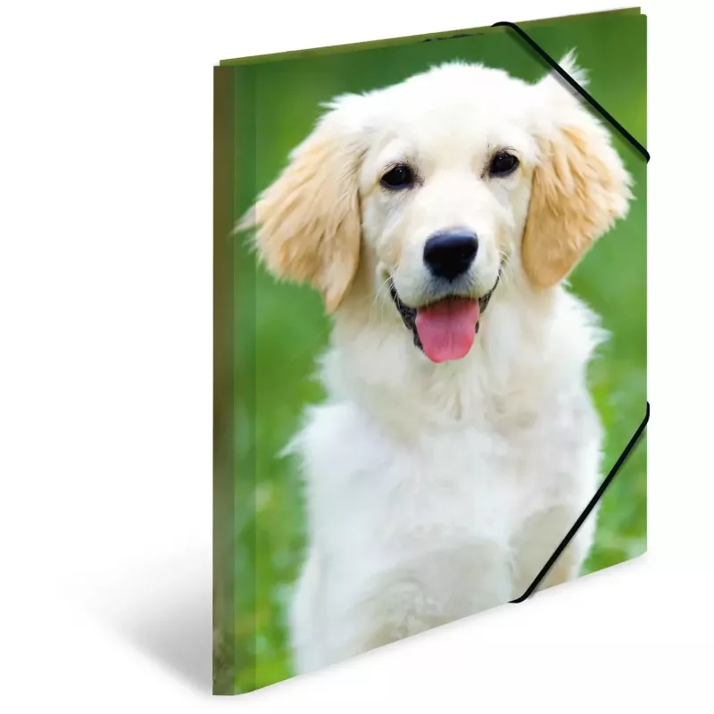 Folder Polypropylene (PP) HERMA 7144 A3 Multicolour