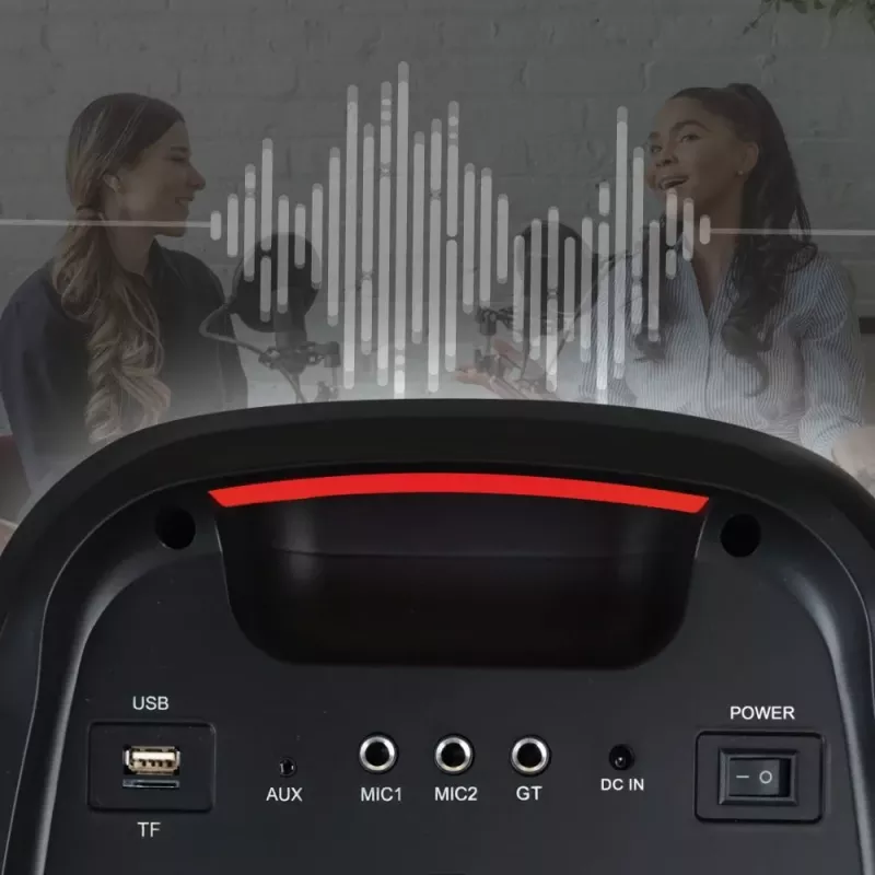 Portable speaker MANTA ATTIS SPK0802 120W, Bluetooth, wired input, rechargeable, FM, LED lights