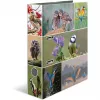 Ring binder HERMA 19254 A4 Multicolour D-ring Storage 285x315mm