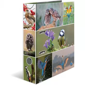 Ring binder HERMA 19254 A4 Multicolour D-ring Storage 285x315mm