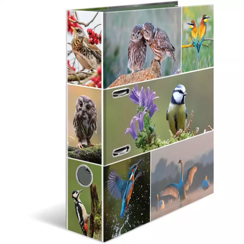 Ring binder HERMA 19254 A4 Multicolour D-ring Storage 285x315mm