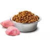 Farmina Pet Food dogs dry food 2.5 g Adult Chicken