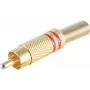 shiverpeaks BS52020-R Wire Connector RCA Gold (BS52020-R)