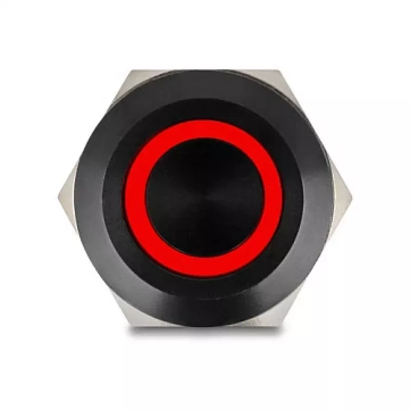 Panel Push Button Switch DELOCK 22015 22 mm, 12 V, 5 solder terminals